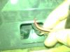 post-5749-0-88905300-1359037134_thumb.jp