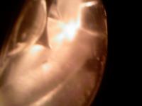 post-1446-1266598345_thumb.jpg