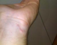 post-3331-1280513817_thumb.jpg