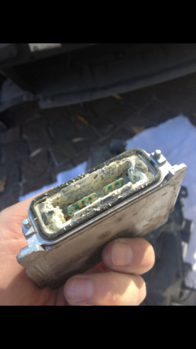 IMG_5758.thumb.PNG.a08a7ae56eca75ce3305c