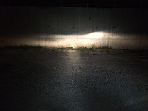 image.thumb.jpeg.64a69587e0ce3d7f7806480