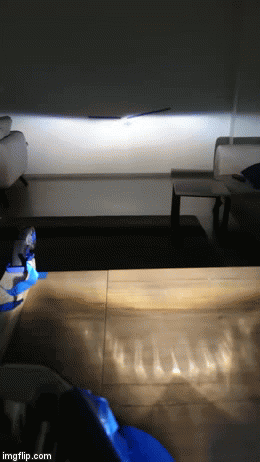 Selektör.gif