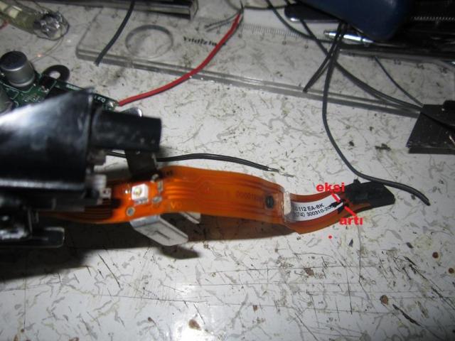 4736.jpg