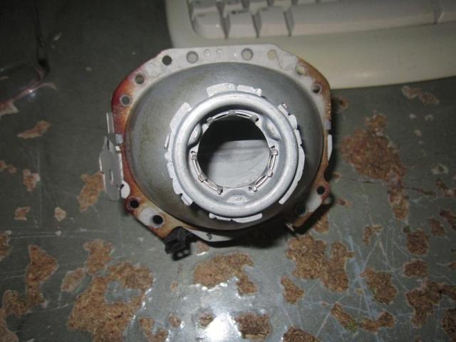 5351.jpg