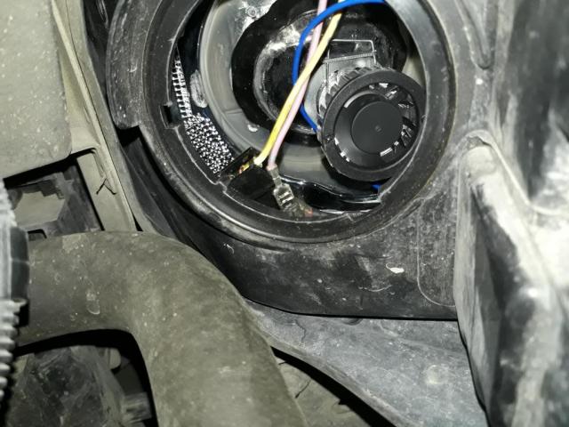20190328_190348.jpg