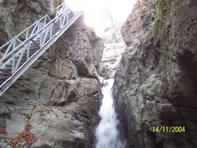 100_0868.jpg
