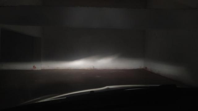 IMG_20210308_191021.jpg