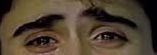 image.png.b88e6dda1adc5bae504a8966a583cb31.png