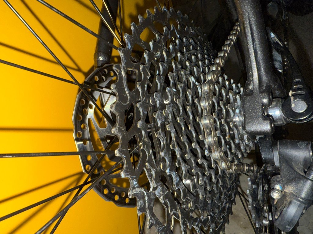 1.jpg.185e6d5bf558959ad25278308da68b20.jpg