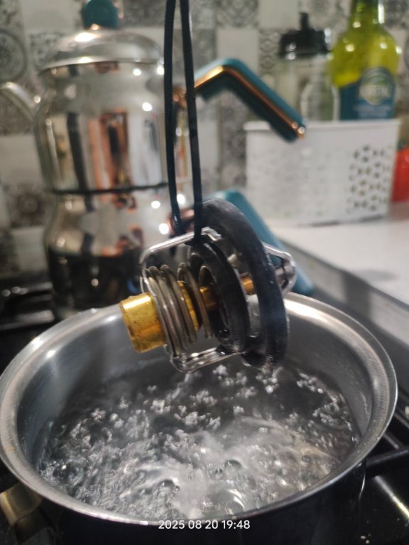 IMG20250820194847.jpg.d66c5f7b7b21a7d44af6a6e5e5d78f40.jpg