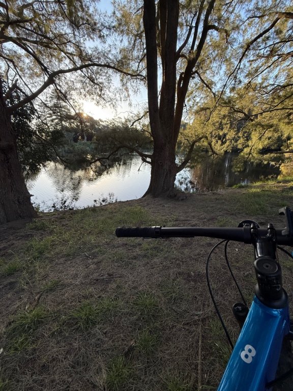 IMG_0003.jpeg.f4405ab1c586a1b5a1597826926a6d6e.jpeg