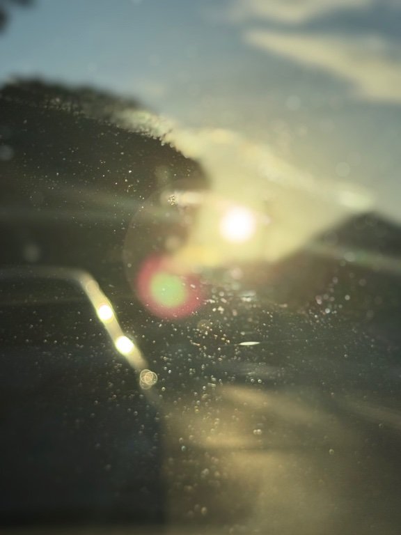 IMG_1750.jpeg.fce5f93e7da613ca96aeb78d8eff20a3.jpeg