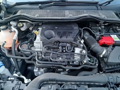 1.0-ecoboost_chainbelt.jpg.67c4988fcd16d06044391af4b2fc2fcc.jpg